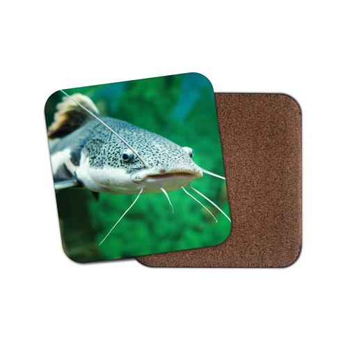 Cool red tailed catfish - cool, red-tailed