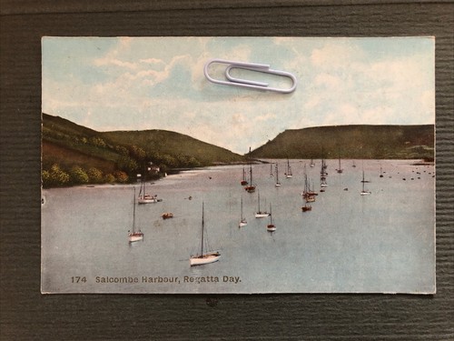 Salcombe harbour regatta - salcombe, day