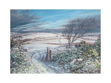 NEW Winter Landscape