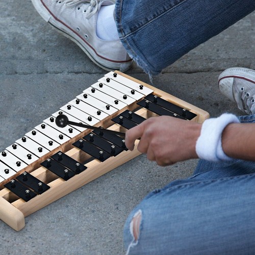 Xylophone notes - xylophone, 27