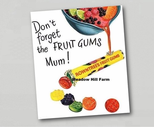 Fridge magnet rowntrees - rowntrees, fruit