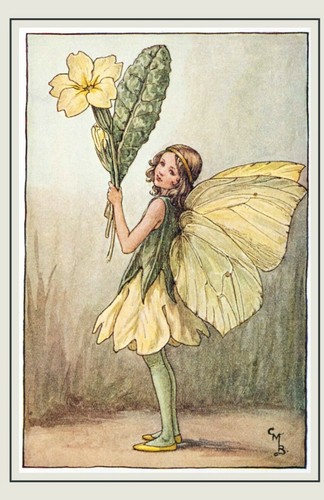 Flower fairies vintage - vintage, image