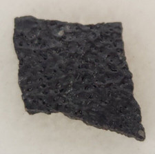 Hadrosaur Egg Shell Fossil -