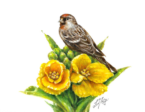 Original oil bird portrait - original,