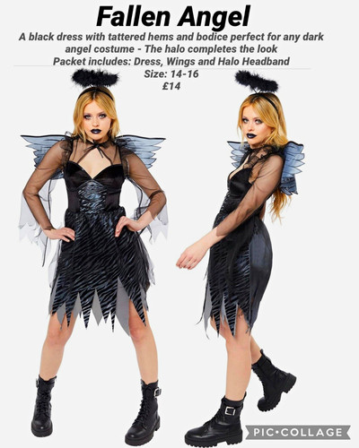 Fallen angel halloween fancy - fallen,