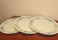 Wedgwood Clementine Dinner Plate x 3