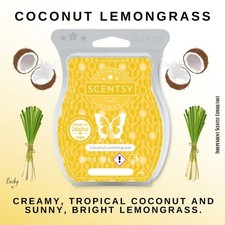 🆕 Scentsy Coconut