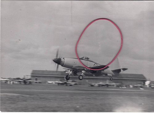 Photo plane westland - photo,