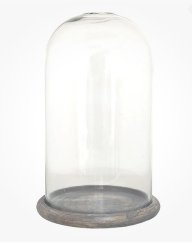 Glass display cloche bell jar - glass,