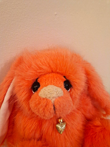 Kaycee bears limited - (edina),