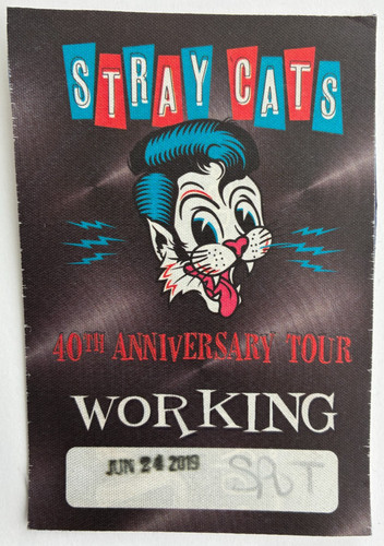 Stray cats original spotlight - cats,