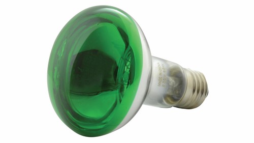 Green 60w r80 coloured - green,