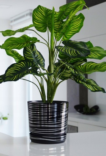 Black plant flower pots - black,
