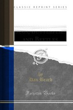 The American Boys' Book of