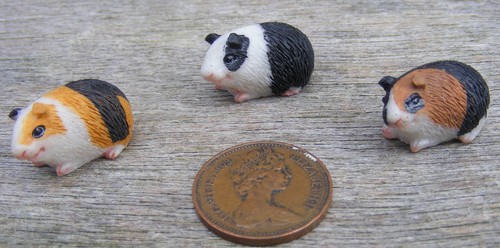 Dolls house guinea pig - dolls, single