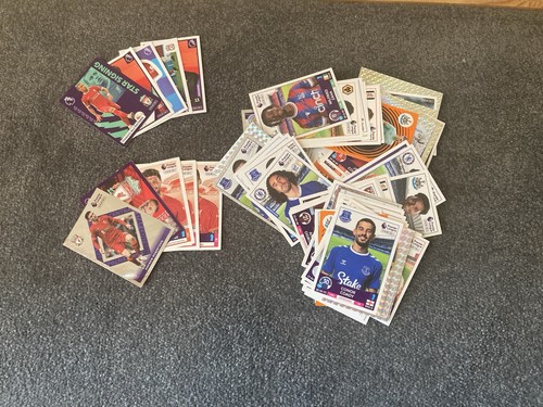 Panini premier league official