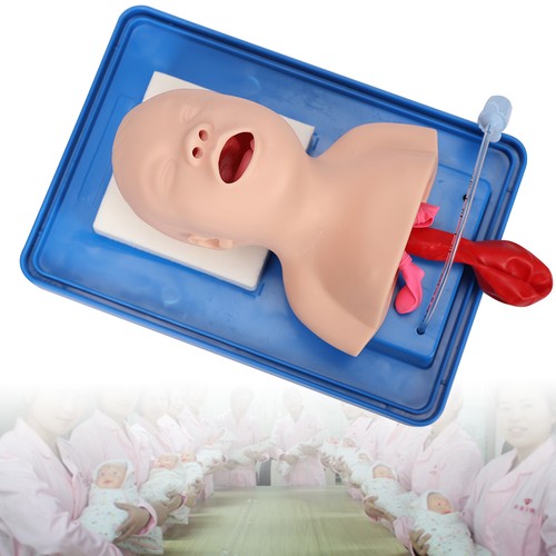 Lab airway intubation manikin - airway,
