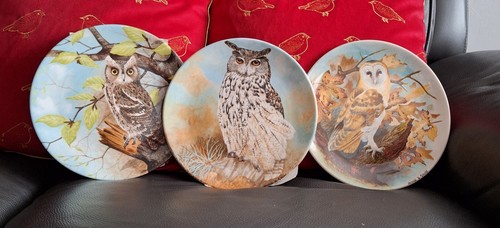 Coalport wise owl series with - wise,