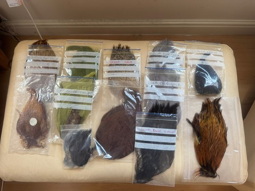 Lge fly tying hackle - cape, job