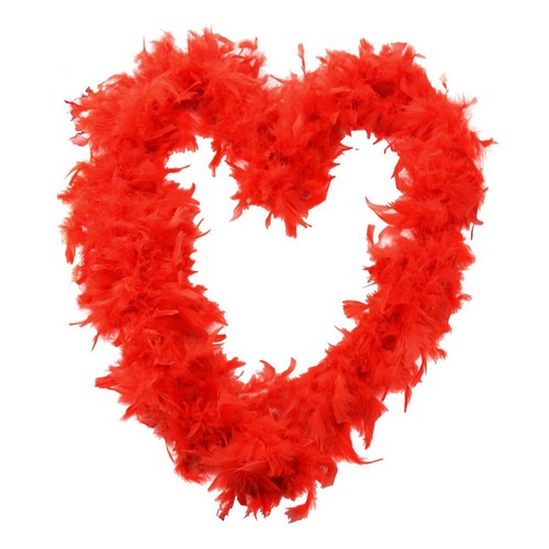 Feather boa gram - boa, hen