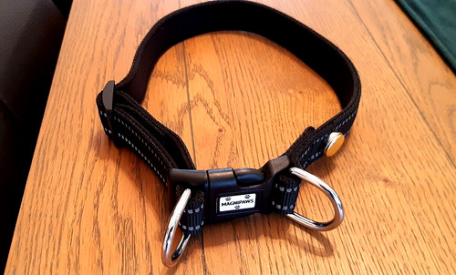 Reflective magnetic dog - reflective,