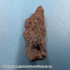 Common chondrite high iron - h5,