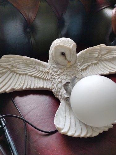 Snowy owl willow hall - by,