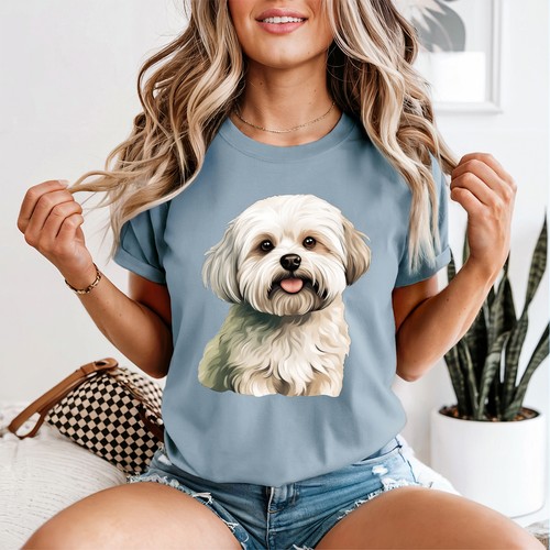 Cute fluffy white maltese - cute,