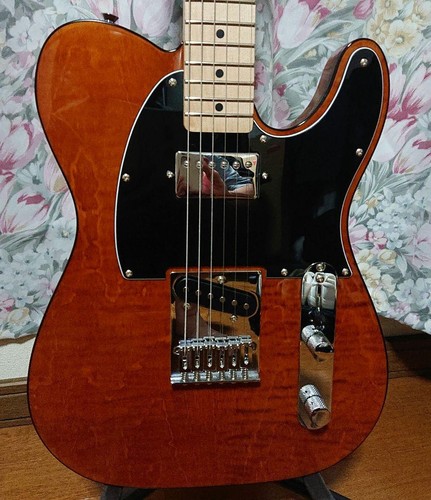 Squier fender fmt - by,