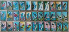 Cavanders Ltd. Foreign Birds