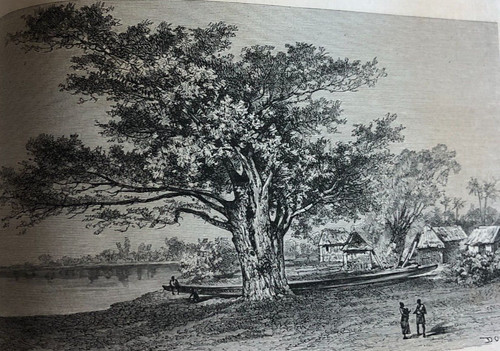 Original vintage print - original,