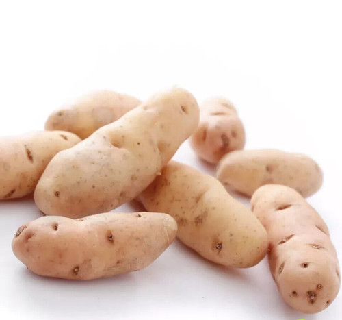 Pink fir seed potatoes - seed, organic