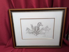 David Shepherd Framed  Print A Pencil Drawing Of Resting Zebras No 117 Of 495.