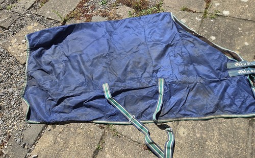 Buccus medium turnout - buccus,