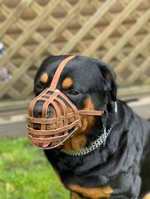 Light leather Dog Muzzle for