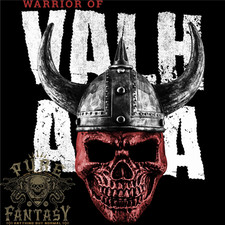 Viking Warrior Skull Valhalla