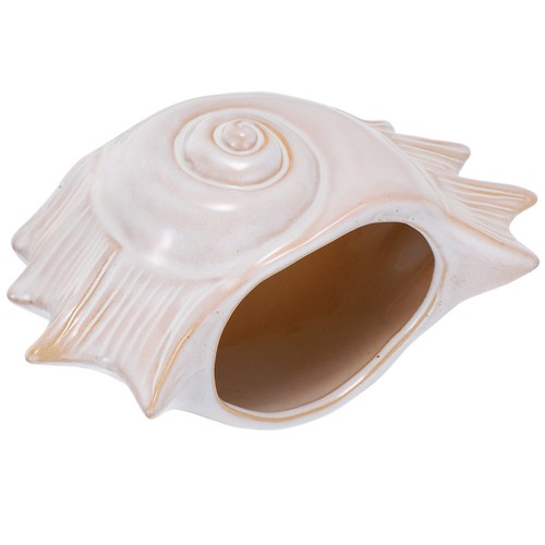 Small ceramic sea shell - small,