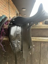 Beautiful 17” Short Block