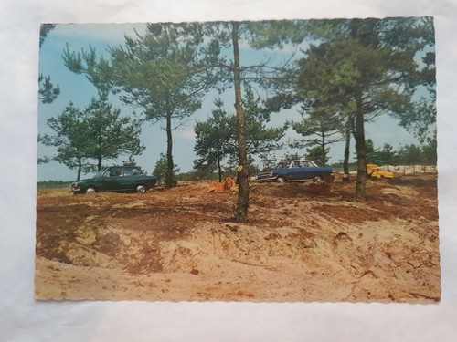 Safari postcard hilvarenbeek - safari,