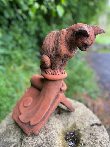 Curious cat roof finial - cat, 90°