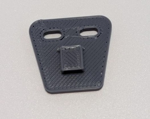 Falconry tail mount - tail,