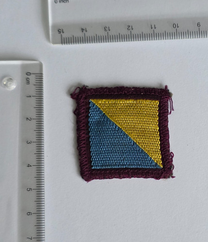 Vintage senior scout patrol - vintage,