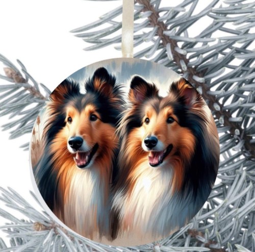 Rough collie dog - rough,