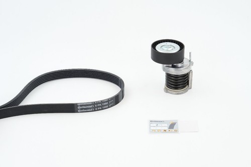 Ribbed belt set continental - belt,
