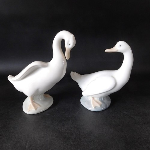 Pair nao lladro - by,