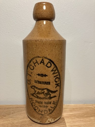 Ginger beer bottle dog - ginger,