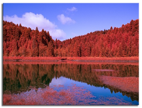Converted infrared full - infrared,