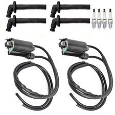 Set of 2 Ignition Coils for