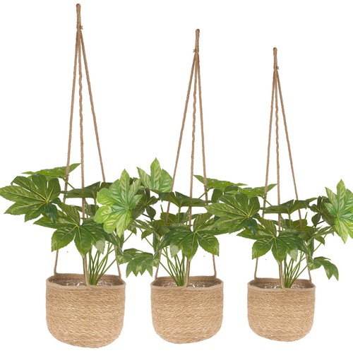 Bamboo hanging plant pots - 3,