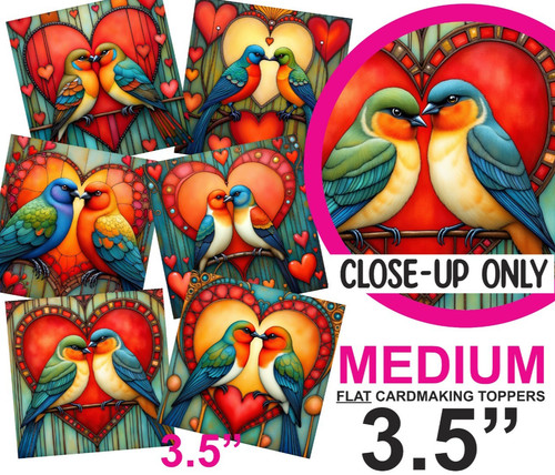 Love birds - love,